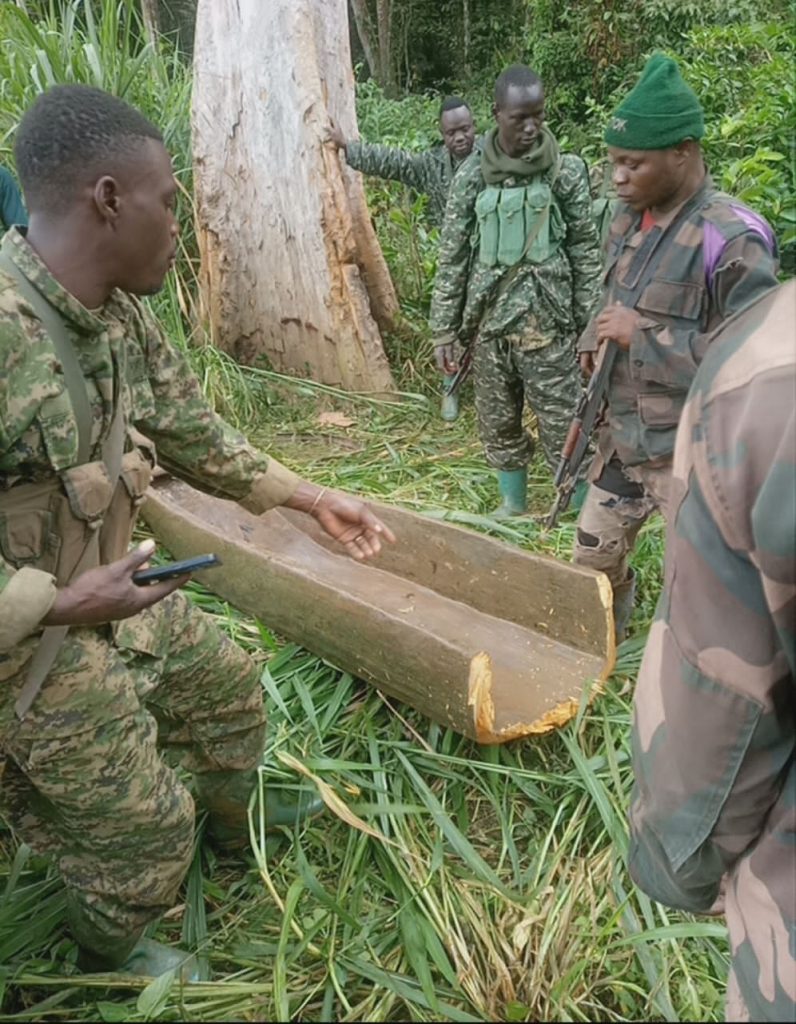 RDC: ces rebelles ADF/MTM capturés sans repère